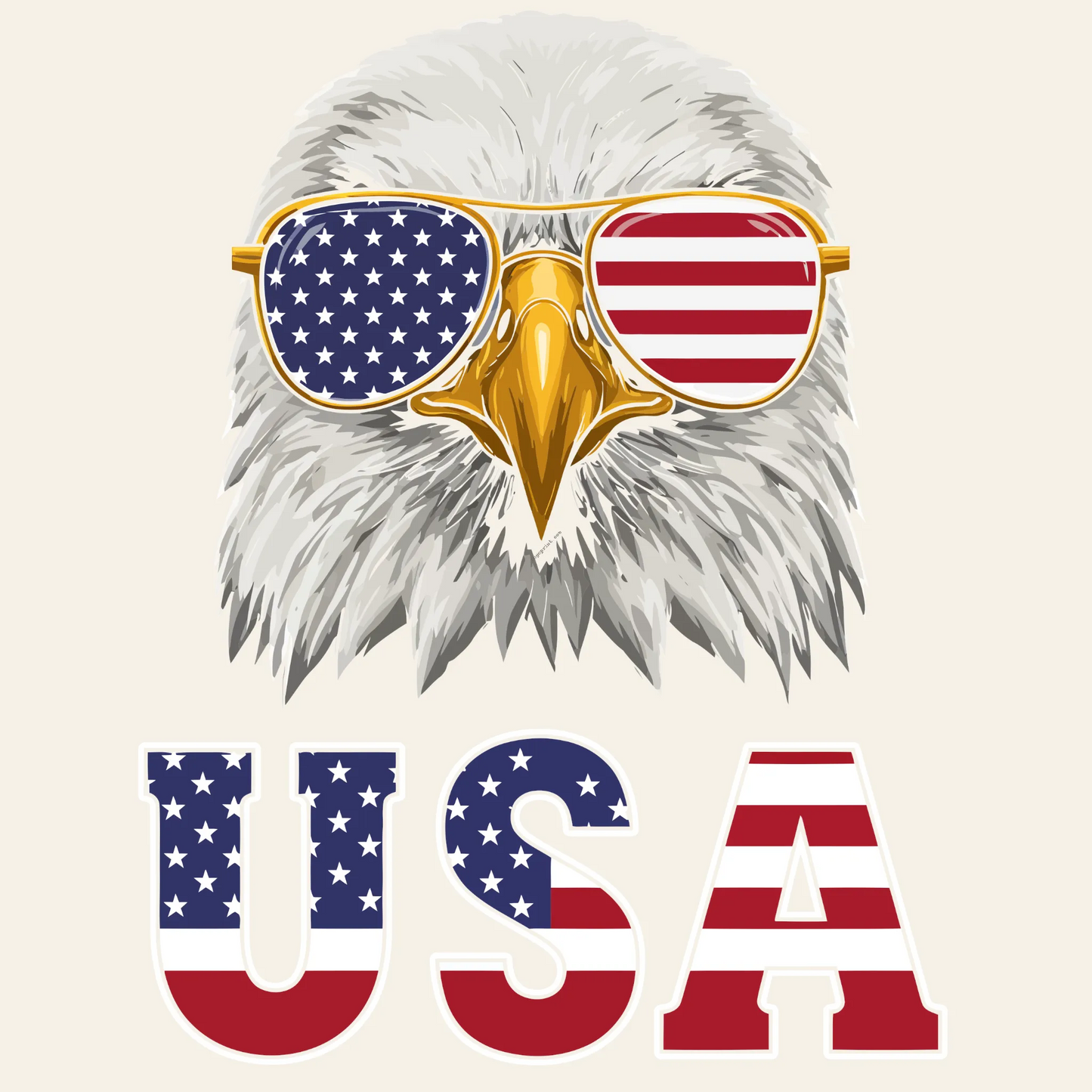 USA Eagle Design – American Bald Eagle with Flag Sunglasses & Patriotic Letters
