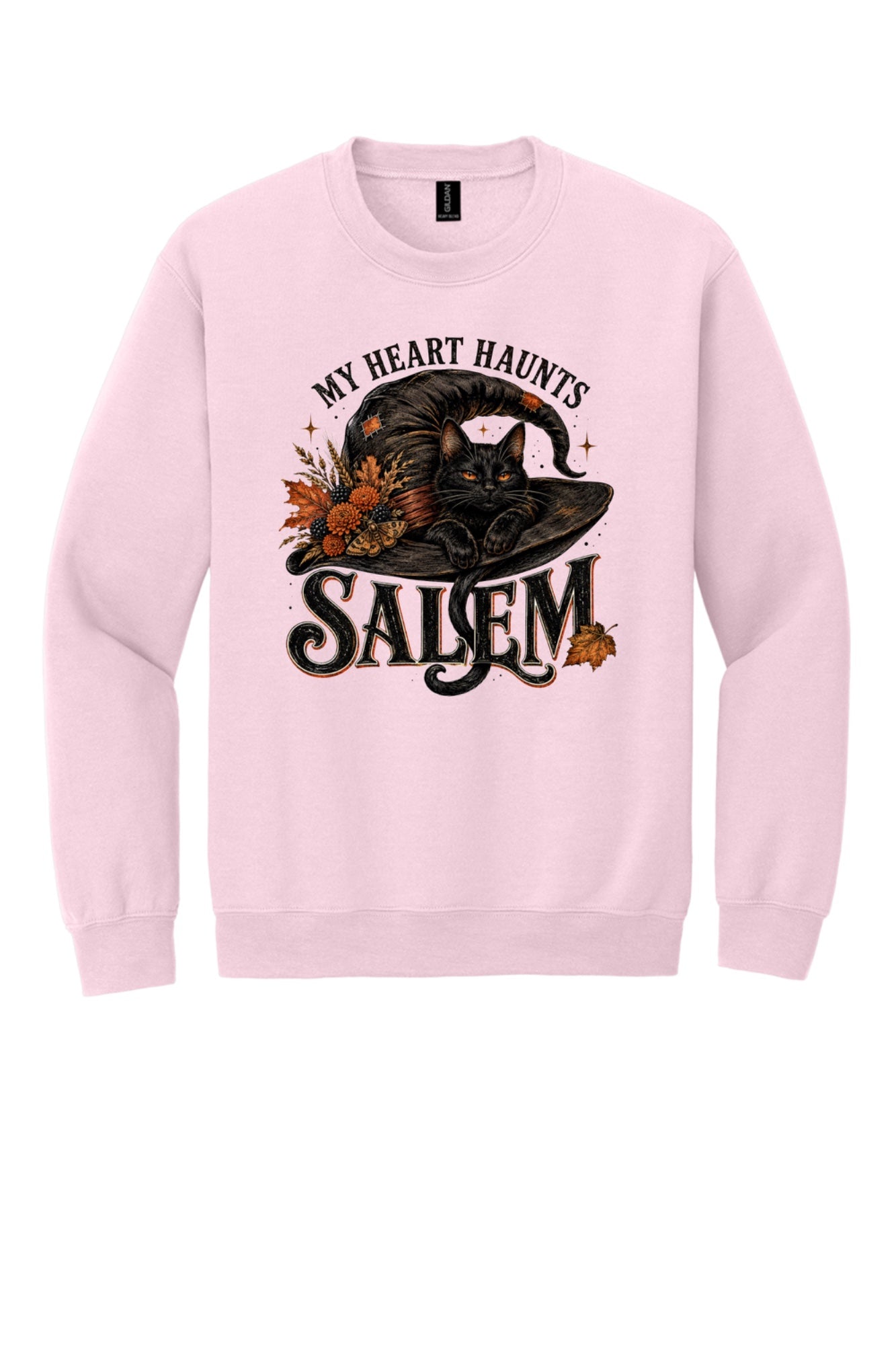My Heart Haunts Salem black cat witch hat Halloween crewneck sweatshirt with autumn floral DTF print in Light Pink
