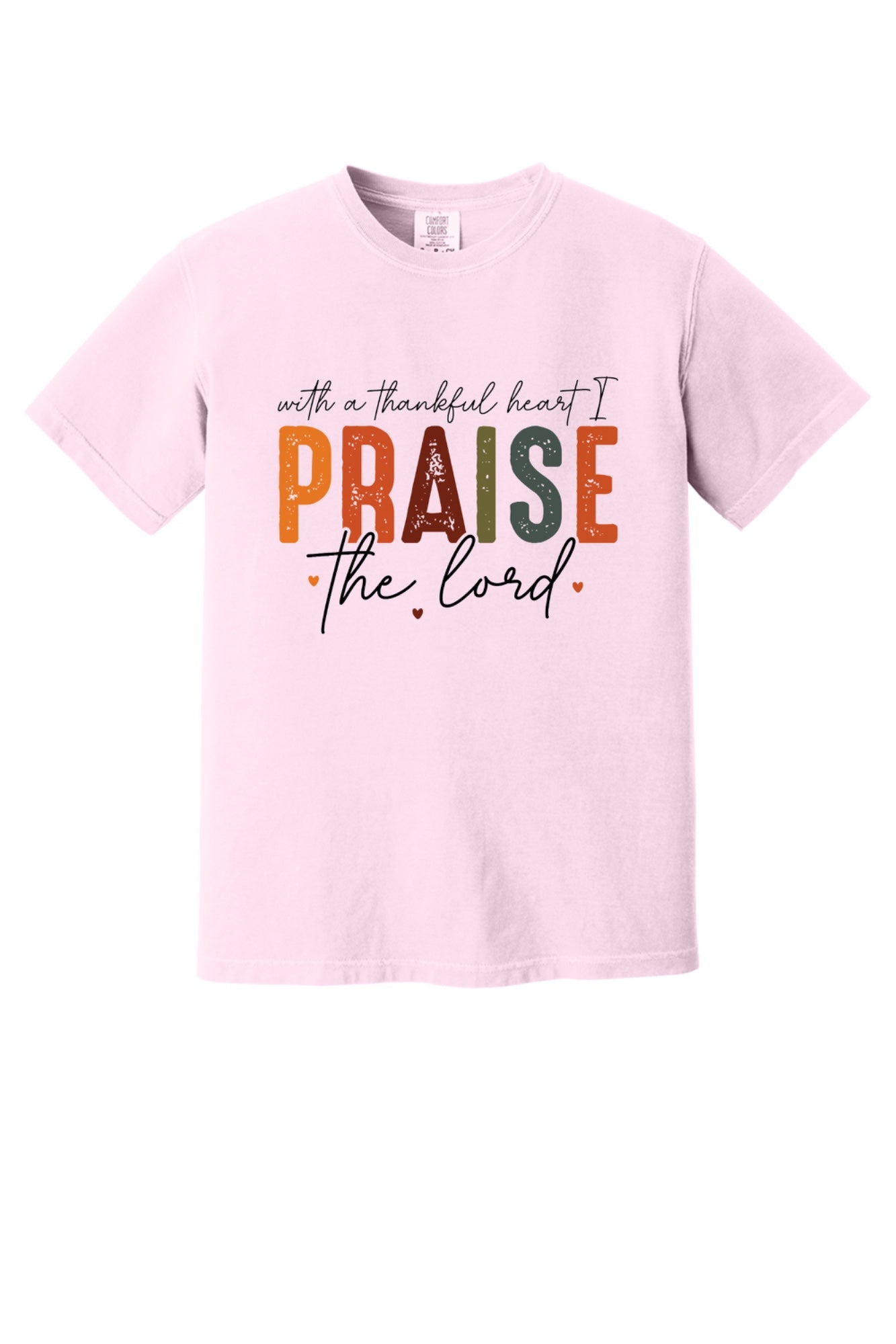 With a Thankful Heart I Praise the Lord printed Thanksgiving faith graphic tee in ivory in Blossom